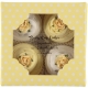 Bluebird - Baby Cupcake Body Unisex Cutie