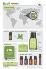 DoTERRA - Basil, Ulei esential de busuioc- 15 ml - imagine 3