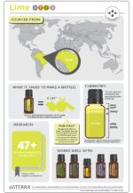 DoTERRA - Lime, Ulei esential de lamaie verde, 15 ml - imagine 3