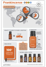 DoTERRA - Frankincense 15 ml, Ulei esential de tamaie - imagine 4