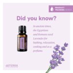doTERRA - Lavender, Ulei esential de lavanda, 5 ml - imagine 2