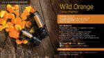 DoTERRA - Wild Orange, Ulei esential de portocala, 15 ml - imagine 4