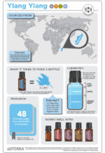 doTERRA - Ylang Ylang, Ulei esential Ylang Ylang- 15 ml - imagine 3