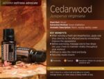 doTERRA - Cedarwood, Ulei esential de cedru, 15 ml - imagine 2