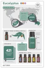 doTERRA - Eucalyptus, Ulei esential de eucalipt, 15 ml - imagine 2