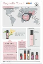 doTERRA - Magnolia Touch, ulei esential de Magnolie,10 ml - imagine 4