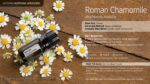 doTERRA - Roman Chamomile, Ulei esential de Musetel Roman, 5 ml - imagine 3
