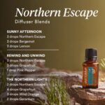 doTERRA - Northern Escape, Blend uleiuri esentiale, 15 ml - imagine 2
