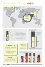 doTERRA - Osmanthus Touch, 10 ml - imagine 2