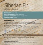 doTERRA - Siberian Fir, Ulei esential de brad siberian, 15 ml - imagine 3