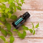 doTERRA - Spearmint, Ulei esential de menta creata, 15 ml - imagine 2