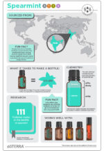 doTERRA - Spearmint, Ulei esential de menta creata, 15 ml - imagine 3