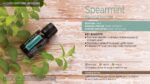 doTERRA - Spearmint, Ulei esential de menta creata, 15 ml - imagine 4