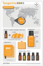 doTERRA - Tangerine, Ulei esential de tangerina, 15 ml - imagine 3