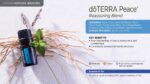 doTERRA - Peace Touch 10ml, Blend uleiuri esentiale - imagine 3