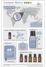 doTERRA - Juniper Berry, Ulei Esential de Ienupar, 5ml - imagine 3
