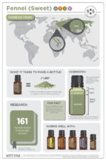 DoTERRA - Fennel, Ulei esential de fenicul 15 ml - imagine 3